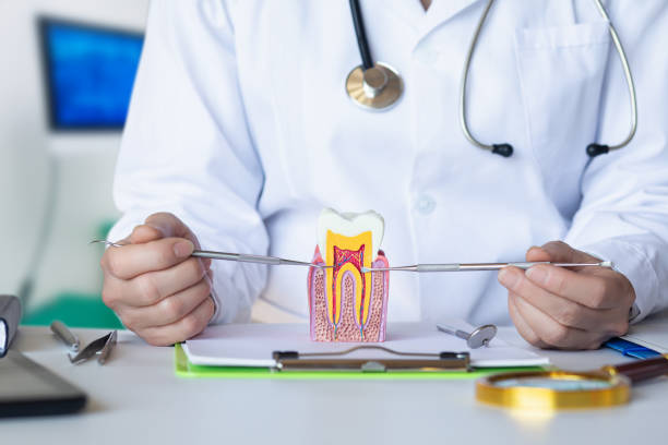 Best Broken Tooth Emergency  in Kimberly, WI